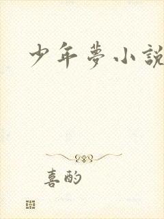 少年梦小说