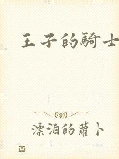 王子的骑士封面