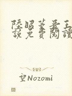 陆昭菱晋王的小说免费阅读封面