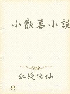 小欢喜小说封面