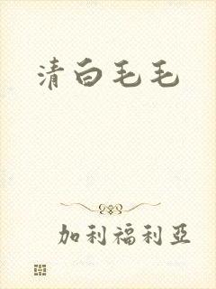 清白毛毛封面