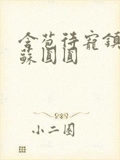 含苞待宠镇国公苏圆圆