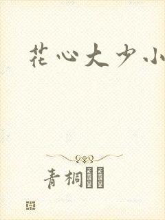 花心大少小说