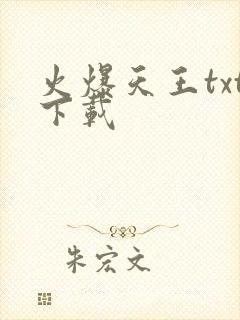 火爆天王txt下载
