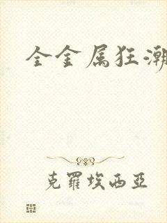 全金属狂潮小说封面