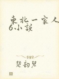 东北一家人1一6小说封面