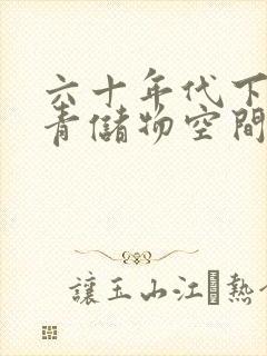 六十年代下乡知青储物空间封面