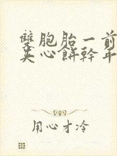 双胞胎一前一后夹心饼干年下