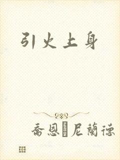 引火上身封面