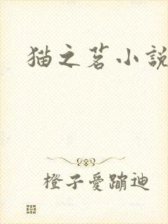 猫之茗小说
