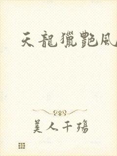 天龙猎艳风流