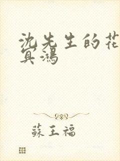 沈先生的花式调冥鸿