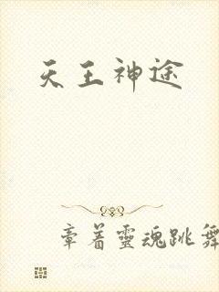 天王神途封面