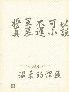 将军不可以魏云真慕迟小说笔趣阁