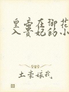 皇帝在御花园进入贵妃的小说