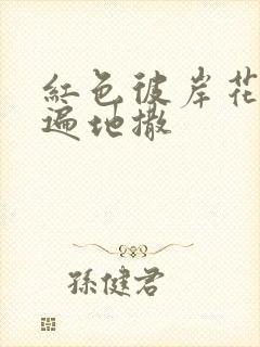 红色彼岸花花瓣遍地撒封面