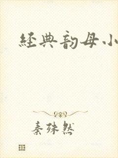 经典韵母小说封面