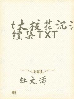 t大校花沉浮录续集TXT
