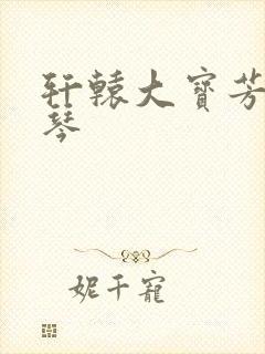 轩辕大宝芳菲雅琴