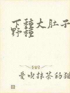 下种大肚子怀孕野种