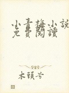 小青梅小说全文免费阅读
