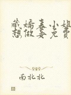 藏娇表小姐她不想做妾免费阅读