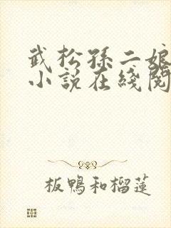 武松孙二娘云雨小说在线阅读