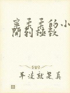 宁柔柔的小泬撑开到极致封面