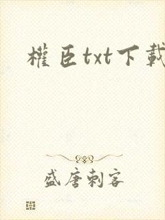 权臣txt下载封面