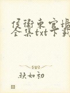 侯卫东官场笔记全集txt下载