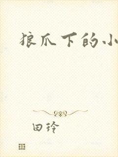 狼爪下的小雏菊封面