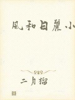 风和日丽小说