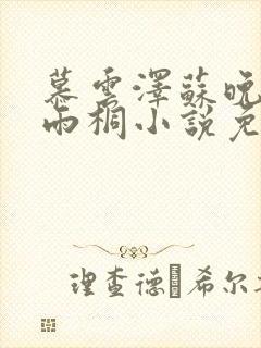 慕云泽苏晚晴夏雨桐小说免费阅读封面