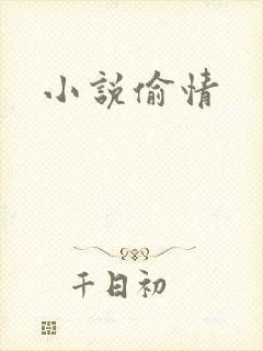 小说偷情
