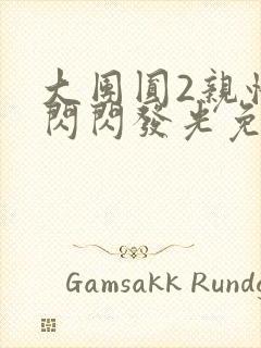 大团圆2亲情会闪闪发光免费