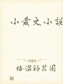 小黄文小说
