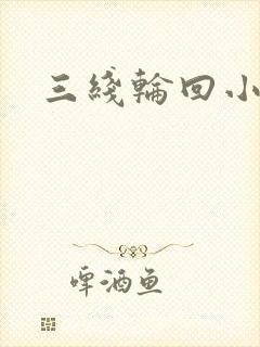 三线轮回小说