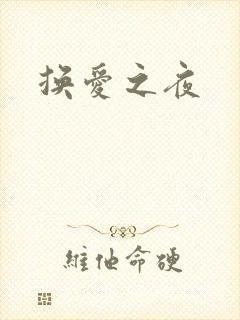 换爱之夜封面