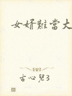 女婿难当大结局