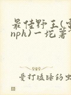最佳野王(电竞nph)一坨薯饼