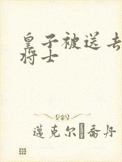 皇子被送去犒劳将士