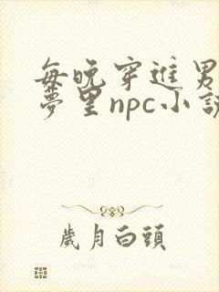 每晚穿进男神的梦里npc小说