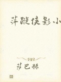 萍踪侠影小说封面