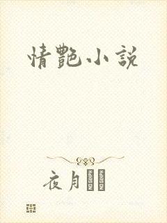 情艳小说