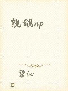 觊觎np