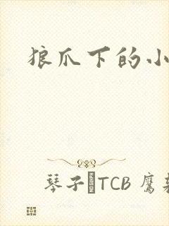 狼爪下的小雏菊