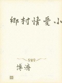 乡村情爱小说封面