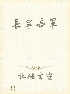 长宁帝军封面