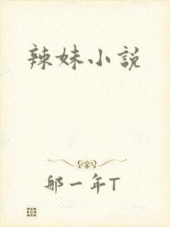 辣妹小说