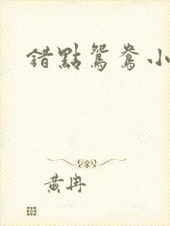 错点鸳鸯小说封面
